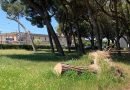 Ecco come si presentano i Giardini Morandi, biglietto da visita del turismo senigalliese / Foto