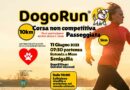 Senigallia si prepara ad ospitare la prima edizione della DogoRun®